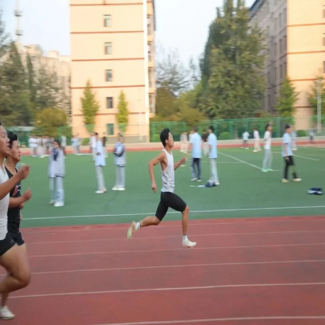 赛程调整对第329组心理表现的深度影响分析